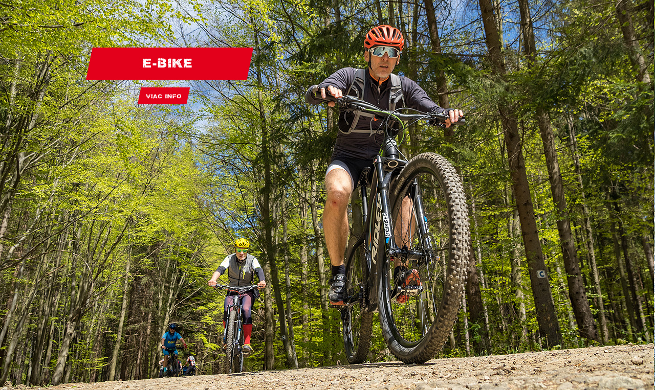 E-BIKE 